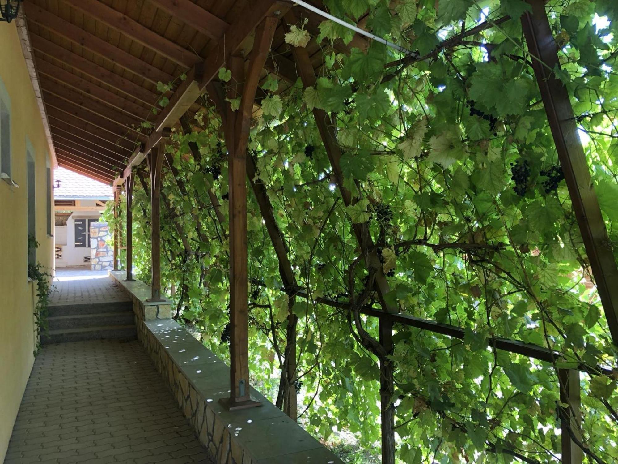 Hotel Tiszafa Vendeghaz Szentgál Exterior foto